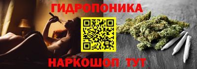 PSILOCYBIN Малгобек