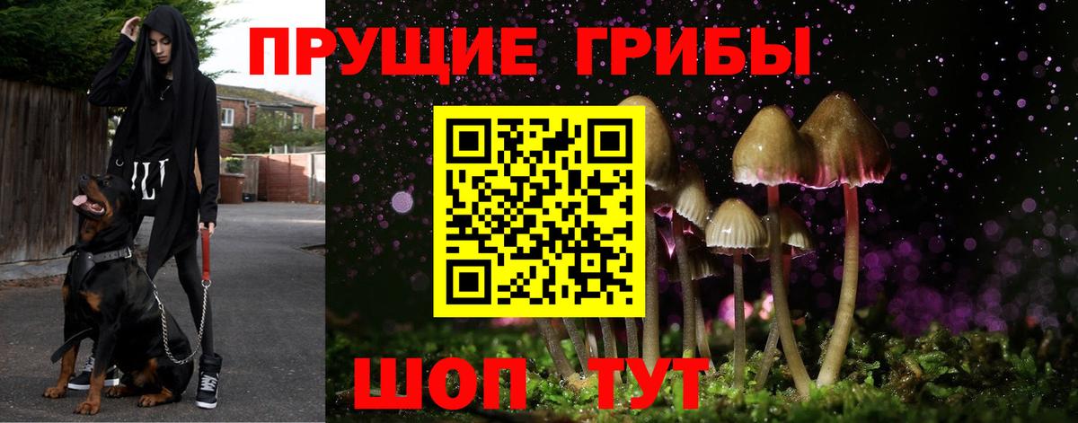 Псилоцибиновые грибы мухоморы  Вход с VPN  Сызрань 
